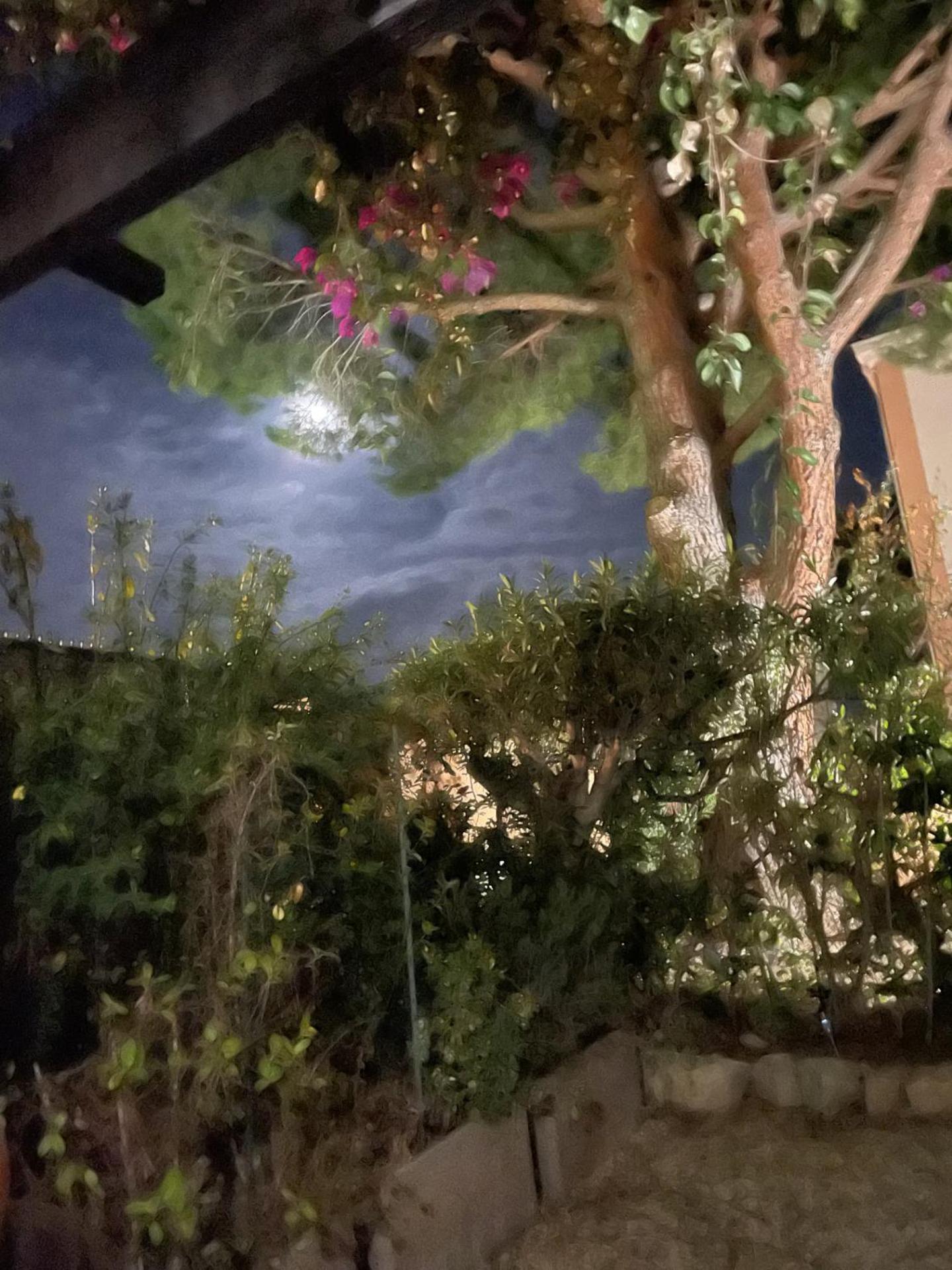 Studio Bandol Avec Jardin Экстерьер фото